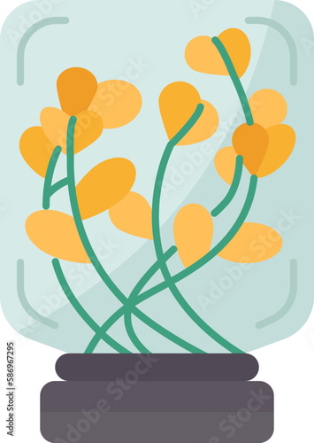 sprout  icon