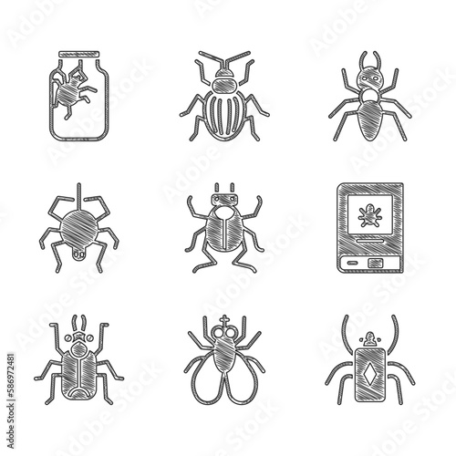 Set Beetle bug, Insect fly, Book about insect, Spider, Ant and jar icon. Vector © Kostiantyn