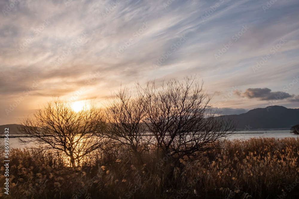 黄金色に輝く早春の琵琶湖の夕暮れ　美しいサンセットの風景