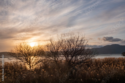 黄金色に輝く早春の琵琶湖の夕暮れ 美しいサンセットの風景
