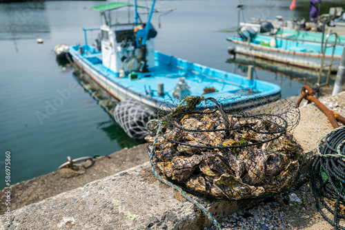 牡蠣漁
