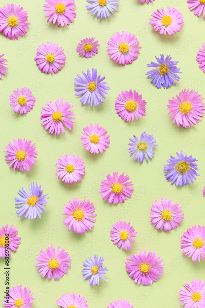 Aesthetic stylish floral pattern. Pink and purple flower aster on green background. Spring and summer colorful flowers pattern. Flat lay, top view, mockup. Trendy color design. Aesthetic stylish floral pattern. Pink and purple flower aster on green background. Spring and summer colorful flowers pattern. Flat lay, top view, mockup. Trendy color design.
