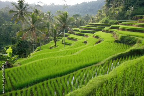 Rice terraces landscape. Created with Generative AI technology.