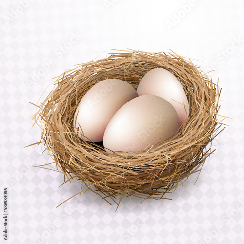 Easter eggs in a nest, isolated design element