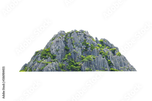 Green tree isolated on transparent background with clipping path, hill, mountain with clipping path and alpha channel. for both printing and web pages.