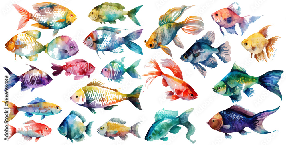 Fototapeta premium Watercolor fish. Fresh organic seafood. Nature drawing - Vector illustration.