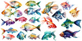 Watercolor fish. Fresh organic seafood. Nature drawing - Vector illustration.