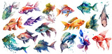 Watercolor fish. Fresh organic seafood. Nature drawing - Vector illustration.