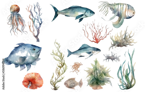 Watercolor fish. Fresh organic seafood. Nature drawing - Vector illustration.