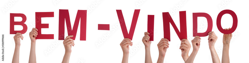 BEM VINDO visual data 7