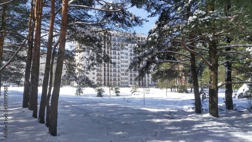 After the snowfall, the snow lies on the lawn with trampled paths and on the branches of the pine trees. Then there is the road, cars parked, and an apartment building. The spring sun is shining