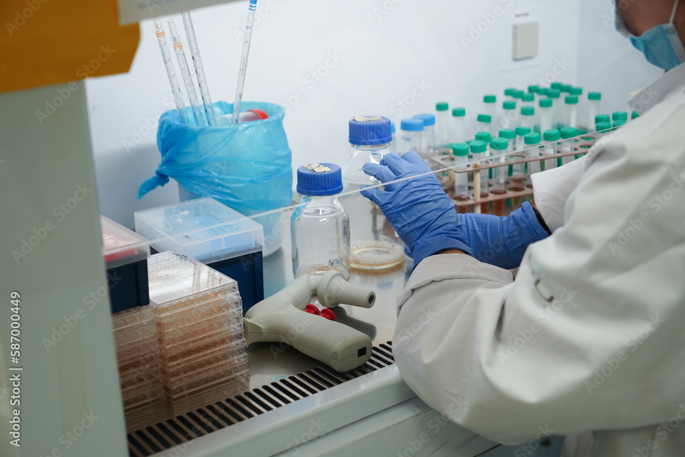 Research on chronic bacterial infections within Student working on bacteriological infections. Research on chronic bacterial infections within Student working on bacteriological infections.