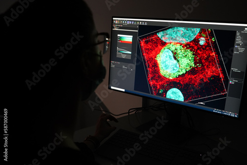 Research on chronic bacterial infections within PhD student working on brucellosis bacteria. photo