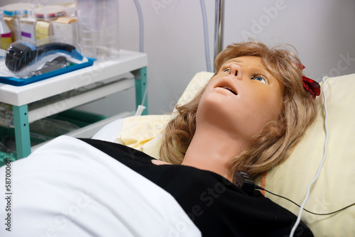 During this workshop the students will be confronted with a post natal emergency and will have to follow the emergency procedures while working on a model Victoria model S2200.