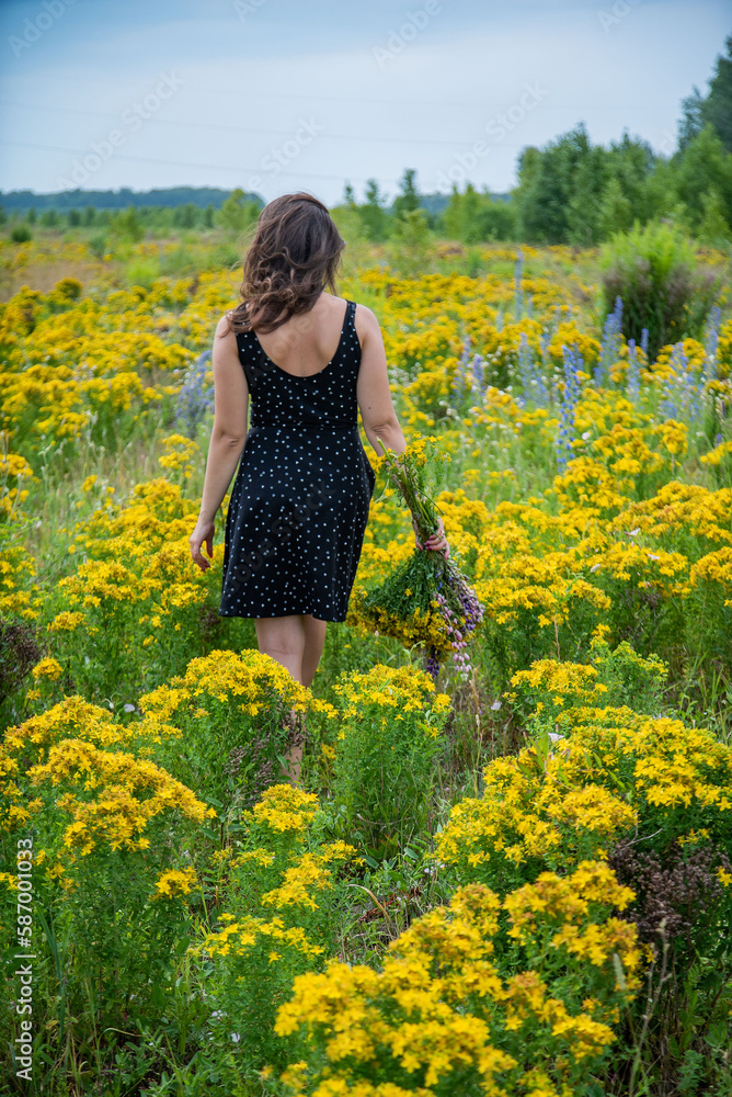 Fototapeta premium Back View of Young Woman Walking Through the Blooming Summer Field in Summer Day 