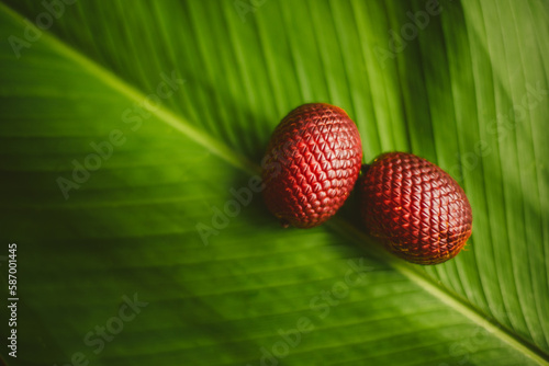 red aguaje fruit on green leaf photo