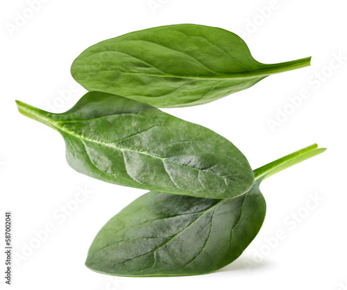Spinach leaves fall on a white background. Isolated