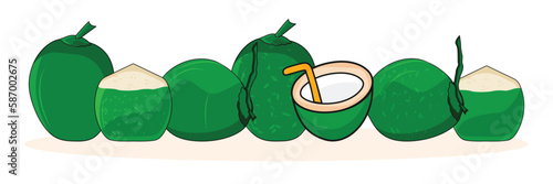 Green coconut illustration, isolated on white background