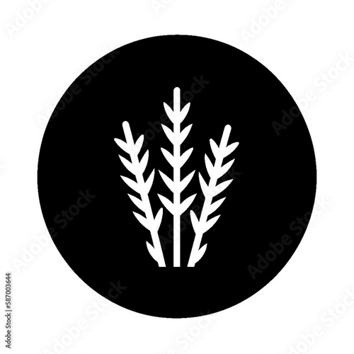 Grain Illustration