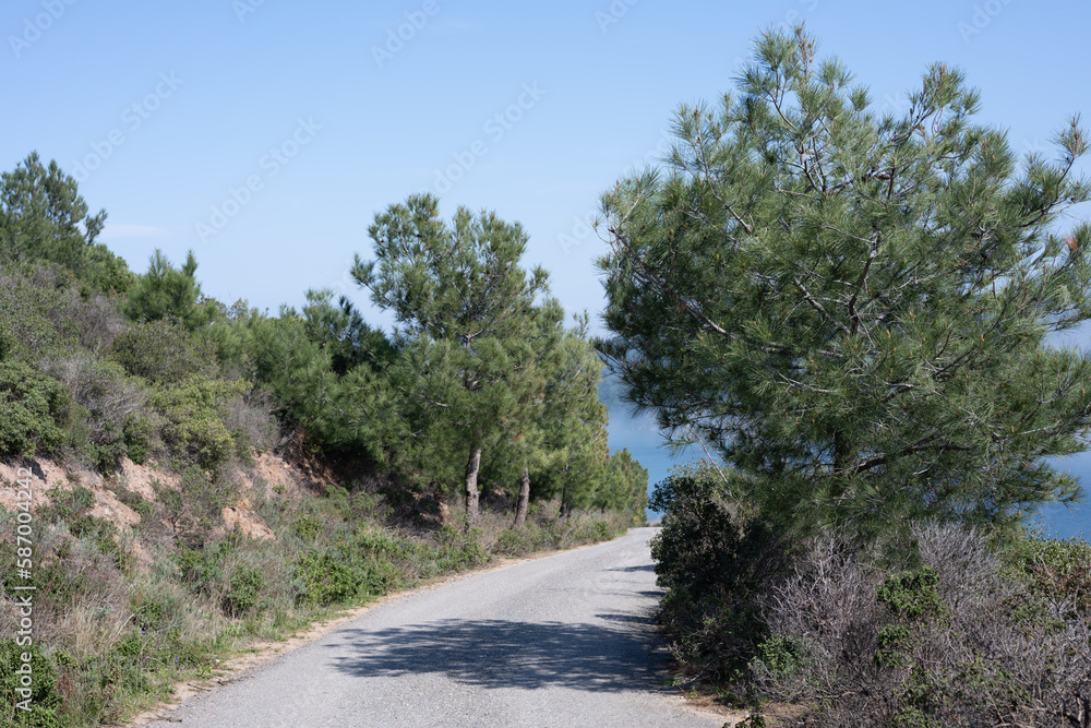 road in the mountains Island prens Turkey road in the mountains Island prens Turkey