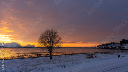 Abendrot mit Brücke, Baum, Rastplatz und den verschneiten Bergen von Senja, Norwegen. Panorama. die roten Wolken spiegeln sich in Wasser des Fjords bei Skaland. Sonnenuntergang am Bergsfjorden. photo