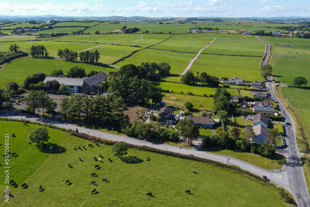 A cows on a field, summer day, top view. Buildings among agricultural fields in West Cork. The countryside in Ireland. Green grass field