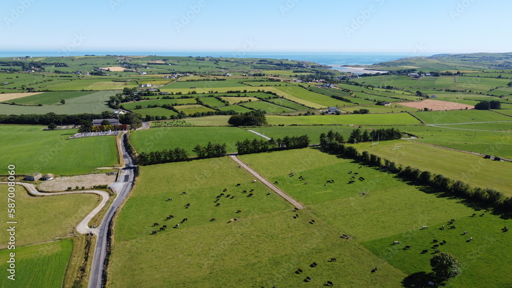 Picturesque fields of Ireland under a blue sky on a sunny summer day. Animals in the pasture. Agricultural landscape. Livestock lands, top view. Green grass field under blue sky