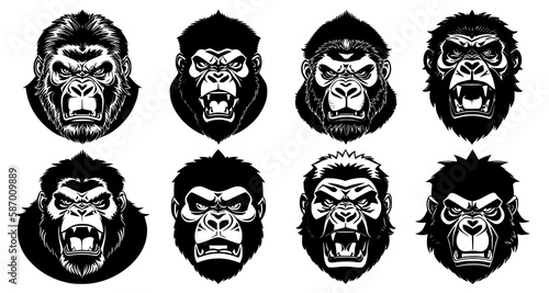 Set of gorilla heads with open mouth and bared fangs, with different angry expressions of the muzzle. Symbols for tattoo, emblem or logo, isolated on a white background.