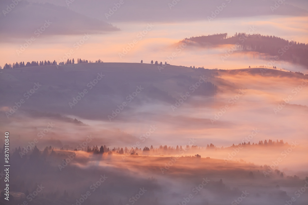 Fototapeta premium closeup mountain valley in dense mist at the sunrise, early morning mountain landscape