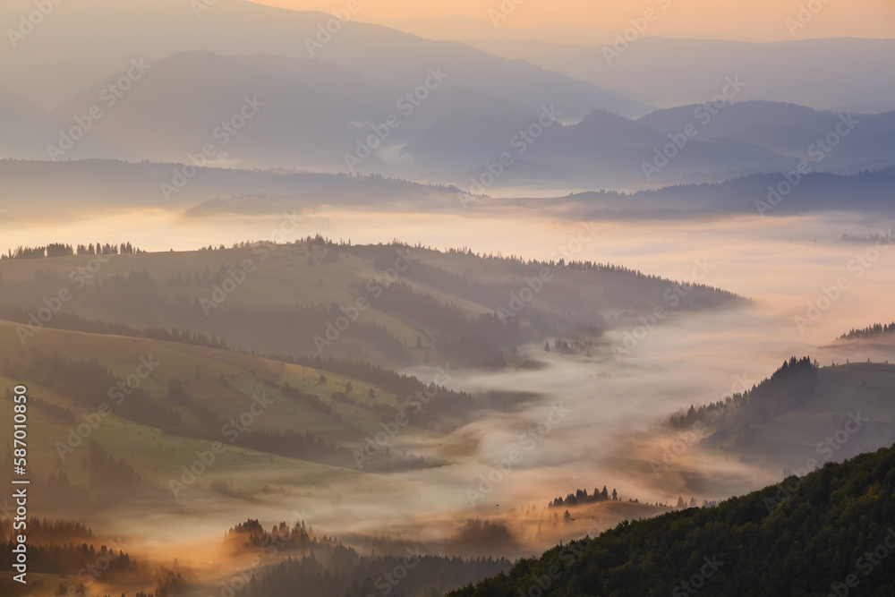closeup mountain valley in dense mist at the sunrise, early morning mountain landscape