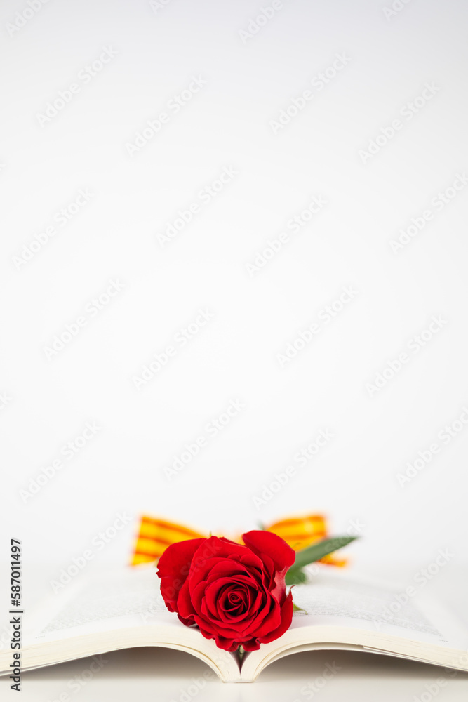 Close up red rose and ear of wheat in an opened book for Diada de Sant Jordi. Tradition of St Jordi Day in Catalonia. Catalan book and rose flower day. Horizontal copy space with white background.