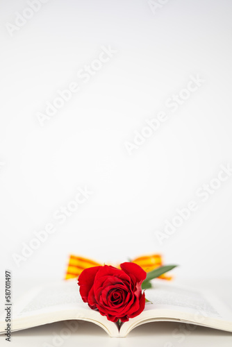 Close up red rose and ear of wheat in an opened book for Diada de Sant Jordi. Tradition of St Jordi Day in Catalonia. Catalan book and rose flower day. Horizontal copy space with white background. photo