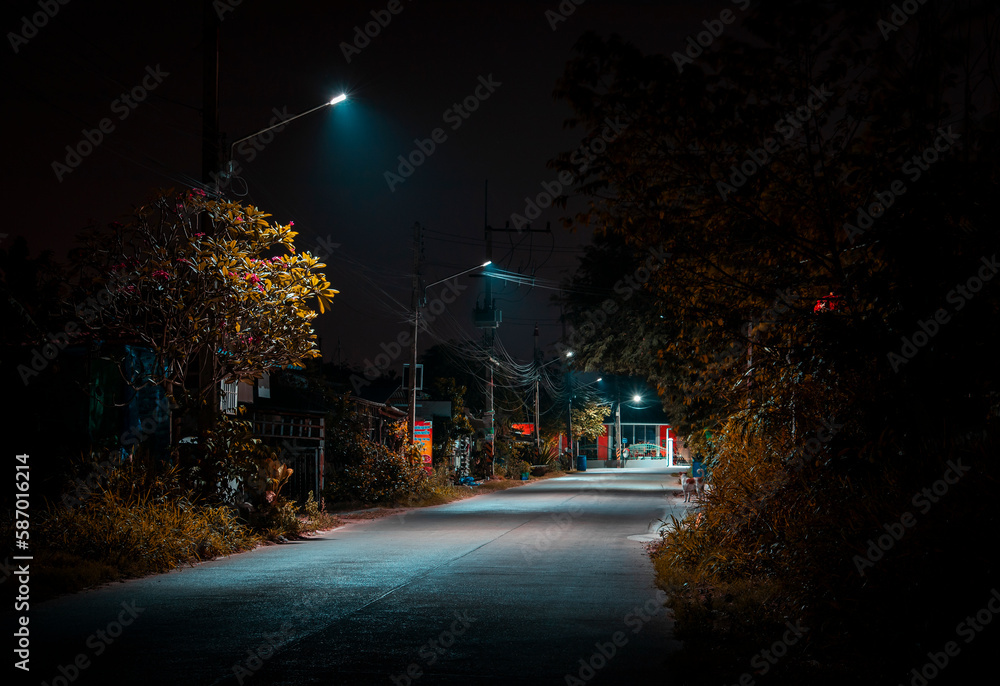 Fototapeta premium empty asphalt road at night with street lamps 