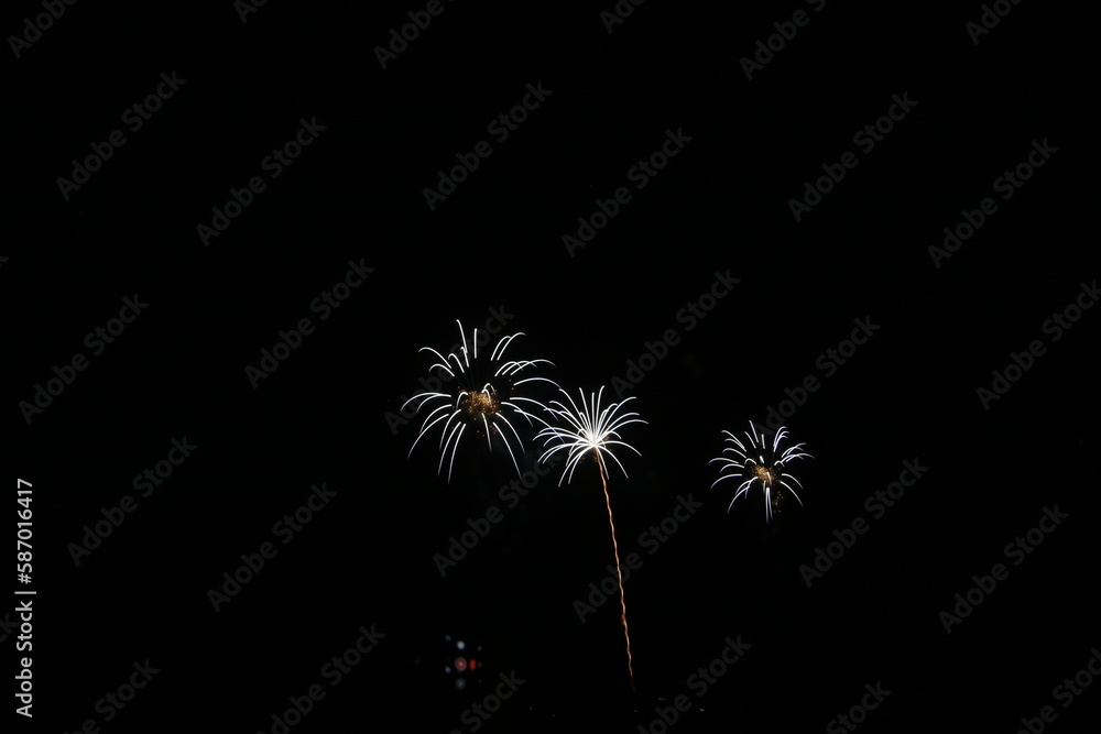 夜空を彩る花火 夜空を彩る花火