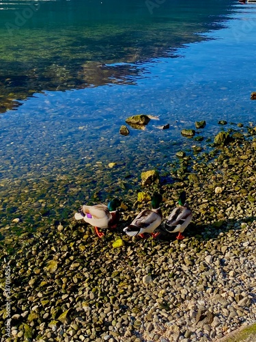 feet in the water