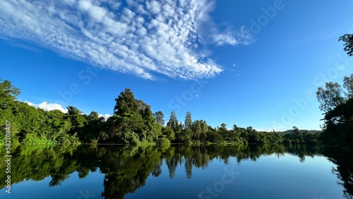 lake and forest