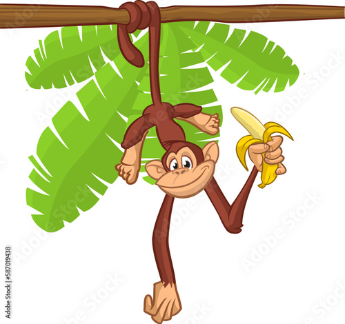 Cartoon monkey chimpanzee holding and eating banana. Vector illustration of happy monkey character design isolated