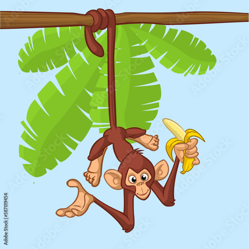 Cartoon monkey chimpanzee holding and eating banana. Vector illustration of happy monkey character design isolated