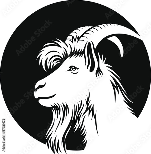 Side View of White Goat Head 