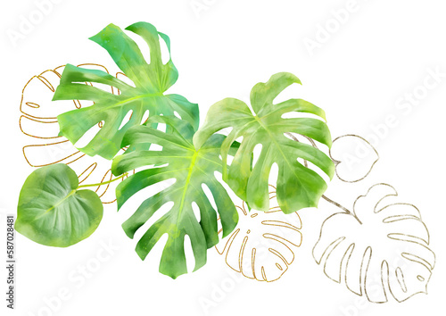 Tropical watercolor monstera leaves. Summer print ideas. Summer card