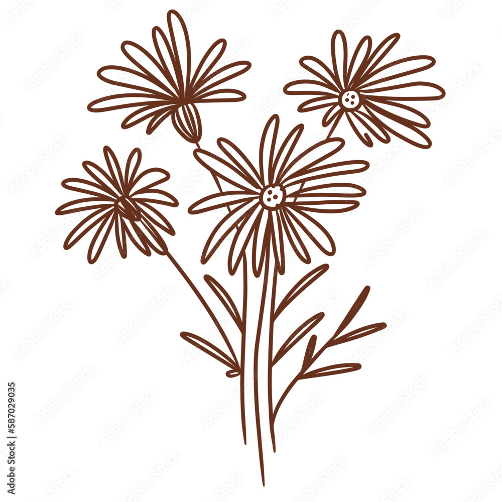 Asteraeace flower line art Asteraeace flower line art