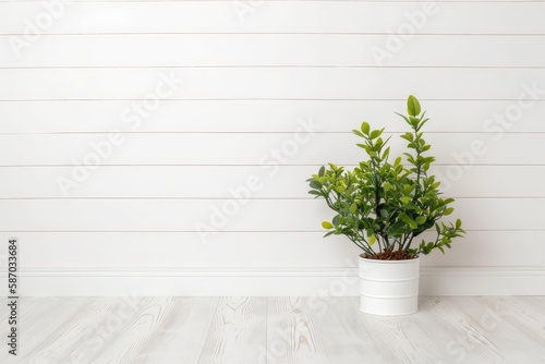Beautiful white shiplap wall backdrop photo