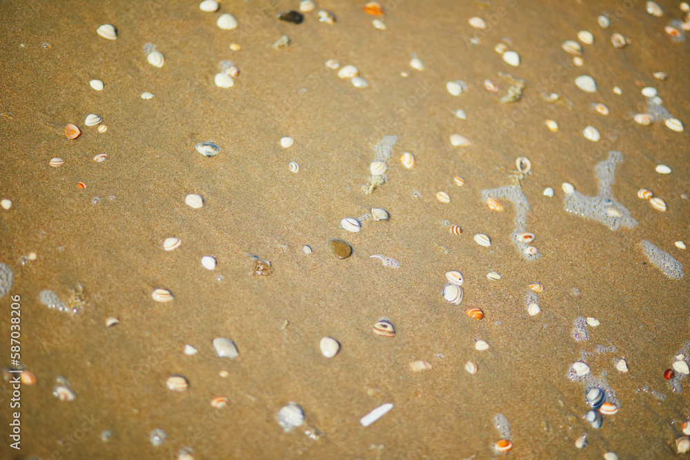 Sand beach in Noordwijk, Holland Sand beach in Noordwijk, Holland