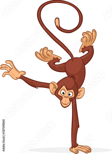 Cartoon funny monkey chimpanzee balancing on one hand or doind flip acrobatic handstand. Vector illustration of happy monkey character design isolated