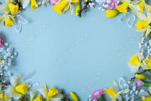 Spring flowers flat lay frame composition on colored background with copy space. Daffodils and willow with carnations
