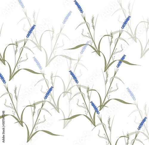 lavender illustration pattern on white background floral flowers, spring field 