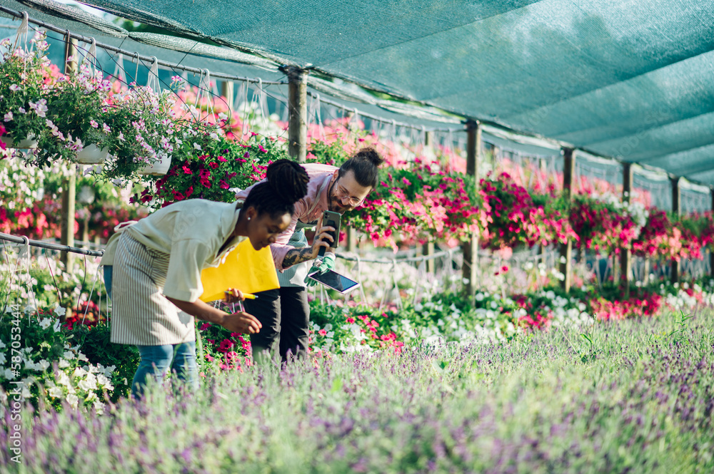 Multiracial couple of gardeners working in a greenhouse Multiracial couple of gardeners working in a greenhouse