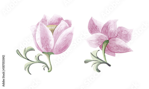 Pink flowers in abstract style on white background. Watercolor texture. Isolated background.