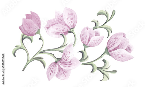 Large delicate magnolia flowers on a green branch. Watercolor illustration isolated on white background.
