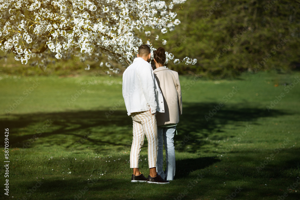 Fototapeta premium frühling